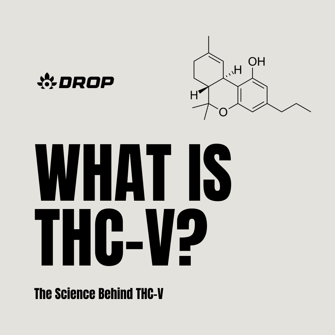 What is THC-V? Understanding the Key Ingredient Behind DROP