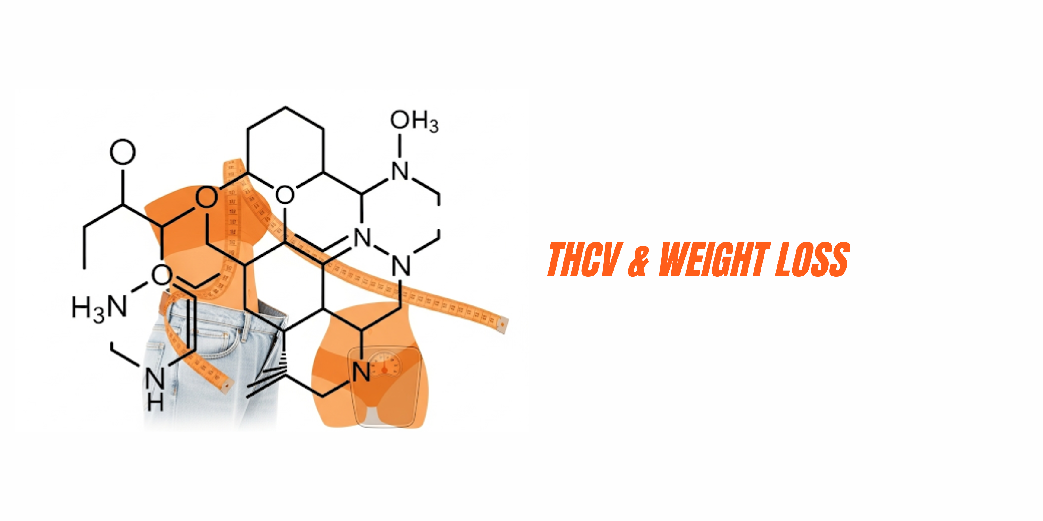 The Science of THCV and Weight Loss